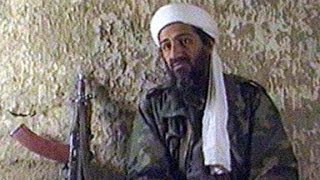 Osama bin Laden secrets revealed in new documents [upl. by Jacobo596]