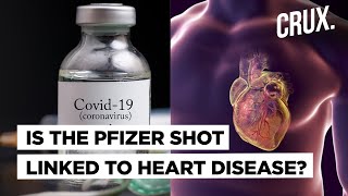 Is Side Effect of Pfizer COVID19 Vaccine Behind Rising Cases of Myocarditis in Israel [upl. by Juanita320]