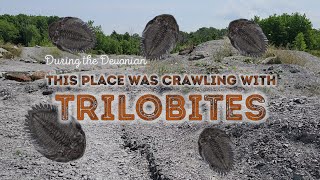 Fossil Hunting at the Penn Dixie Fossil Park  Crinoids Corals Trilobites and More [upl. by Alleroif]