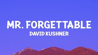 David Kushner  Mr Forgettable LetraLyrics  Official Music Video [upl. by Georgi520]