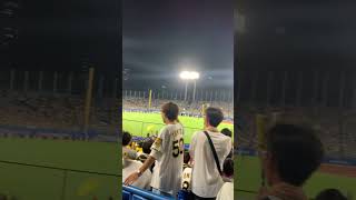 HANSHIN Tigers 7th inning stretch nonofficial version Jingu stadium in 2023 [upl. by Killarney]