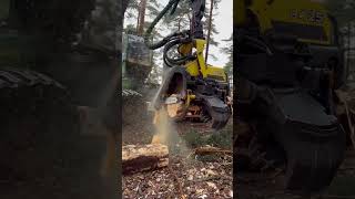 John deere 1270g h425 harvester working in the forest johndeere johndeere excavator viral tree [upl. by Georas]