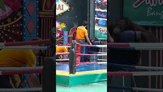 Orangutan Boxing Training in Thailand Please Read Description [upl. by Eerej]