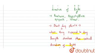 Classify the following plants in to Long day plants LDP short day plants SDP and day [upl. by Cherice]