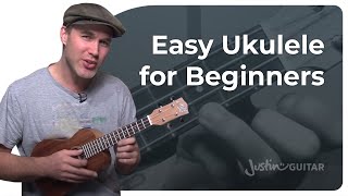 How to Play the Ukulele 4 Easy Chords amp Many Songs [upl. by Flossy274]