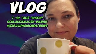 Vlog810 Tage postop Schlauchmagen UmbauMeerschweinchen und ReweLieferservice [upl. by Efthim]