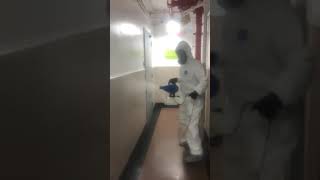 Disinfecting using a fogger in NYC [upl. by Notnil]