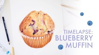 Timelapse Illustration Blueberry Muffin [upl. by Einimod]