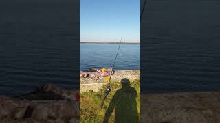 Beautiful morning fishing at Hanningfield Reservoir [upl. by Ennaxxor]