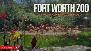 Fort Worth Zoo in Fort Worth Texas [upl. by Deppy]