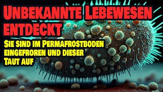 Unbekannte Lebewesen entdeckt  Sie sind im Permafrostboden eingefroren und der taut auf [upl. by Helali]