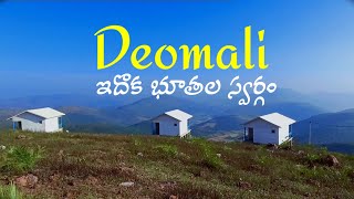 Deomali hill in odisha  Odisha  Iconic journeys [upl. by Haye]