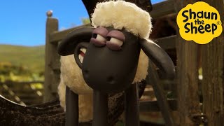 Shaun the Sheep 🐑 Farm Adventures  Cartoons for Kids 🐑 Full Episodes Compilation 1 hour [upl. by Dilaw363]