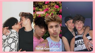 Larray and Brady Potter  TikTok Compilation [upl. by Danny]