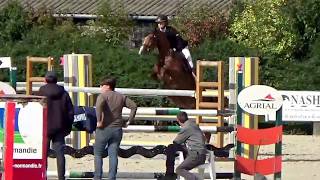 Vega dance semilly  Kalaska de semilly x Ulior des isles [upl. by Quackenbush33]