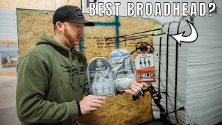 Demolishing Broadheads Part 1 which is the best [upl. by Nohsreg]