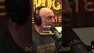 Joe Rogan On Interviewing Donald Trump [upl. by Eislel]