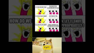 random doge meme found in the internet pt93 memes doge shorts meme dogememe funny [upl. by Adanama]