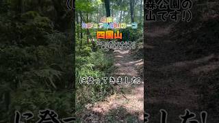 山県市カジュアル登山の一つ・四国山に登ってきました 地域おこし協力隊 山県市 岐阜県 shorts short 四国山 カジュアル登山 登山 ハイキング [upl. by Higginbotham]