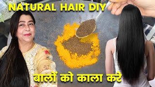 Homemade Hair Darkening Treatment with Turmeric and Tea Leaves [upl. by Noryv940]