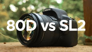 Canon SL2 200D vs 80D  Which Canon DSLR should you buy [upl. by Rodmur311]