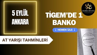 5 Eylül 2024 Ankara At Yarışı Tahminleri TİGEM KOŞUSU BANKO [upl. by Eartnoed500]