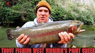 Trout Fishing West Virginias Paint Creek [upl. by Schluter]