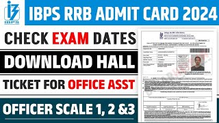 IBPS RRB Clerk Admit Card 2024  Exam Date Out [upl. by Enahpad]