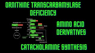 USMLE Step 1  Lesson 64  Ornithine Transcarbamylase Deficiency Amino Acid Derivatives [upl. by Anekahs]