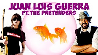 quotQuisiera ser un pezquot versión New Wave Juan Luis Guerra ft The Pretenders [upl. by Beth]