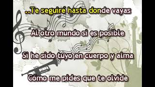 Te Seguire Karaoke Los Palominos [upl. by Nedroj724]