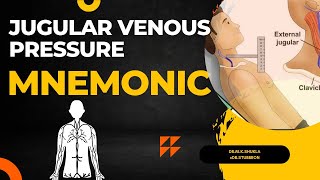 Jugular Venous pressure  jvp  Mnemonic [upl. by Gelb519]