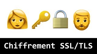 Comprendre le chiffrement SSL  TLS avec des emojis et le HTTPS [upl. by Ellerehc]