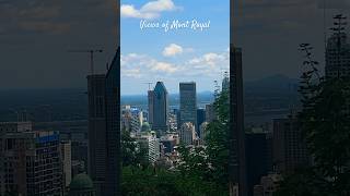 Views of Mont Royal montroyal montreal views downtown canada [upl. by Samanthia]