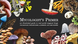 Mycologists Primer  Kickstarter Trailer [upl. by Macintosh]