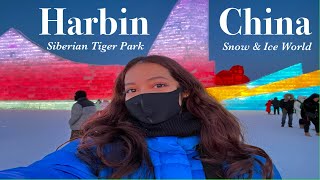 HARBIN CHINA VLOG2 SNOW amp ICE WORLD  SIBERIAN TIGER PARK amp MORE [upl. by Ogires709]