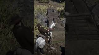 Poucos jogadores viram esse cacifo na Reserva indígena Wapiti Red Dead Redemption 2 rdr2 [upl. by Acisseg]