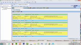 ST01 user trace in Sap [upl. by Gibby]