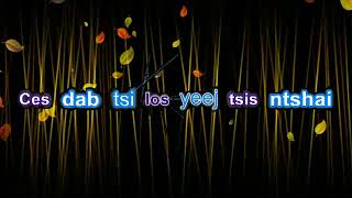 Dab Tsi Los Tsis Ntshai Karaoke By Lue Vang [upl. by Nanek606]