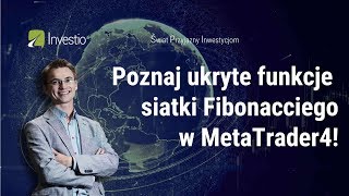 Ukryte funkcje siatki Fibo w MT4 [upl. by Quincey]