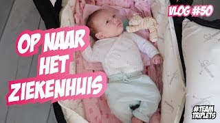 BABYS KRIJGEN CONTROLE ☆ DRIELING FAMILIE VLOG 50 [upl. by Sirromed]