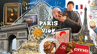 巴黎VLOG🇫🇷12天滿滿行程 鐵塔拍照點必看瘋馬秀逛不完的羅浮宮amp奧塞聖米歇爾山凡爾賽宮史特拉斯堡一日遊 [upl. by Ahsaelat739]