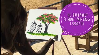 Genuine Elephant Paintings  The Story of Suda The Painting Elephant [upl. by Blossom]