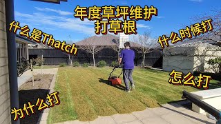 【居家DIY】年度草坪维护——Dethatch打草根【懒人包】 [upl. by Amsirahc]