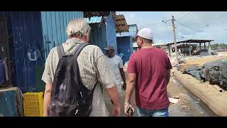 Sri Lanka Negombo Beach Fish Market September 2024 [upl. by Ahsilat922]