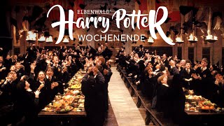 Das große Harry PotterWochenende bei Elbenwald [upl. by Atiker]