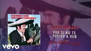 Vicente Fernández  Por Si No Te Vuelvo a Ver Cover Audio [upl. by Ahsinej]