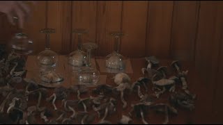 Magic Mushrooms in Mexico  Hamiltons Pharmacopeia S01E04 [upl. by Mendelsohn490]