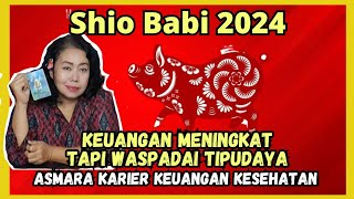 Pig zodiac predictions 2024 Prediksi Shio babi 2024 [upl. by Nednarb]