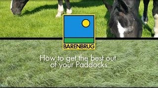 How to Maintain and Renovate Horse Grass Paddocks Advice on Equine Paddocks [upl. by Thad967]